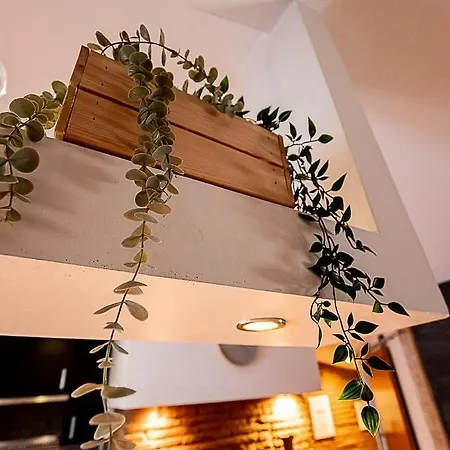 Appartement Filatiers 10 - Hypercentre Carmes - Metro *